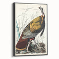 Detailed Wild Turkey Realism Art Print - Classical Realism Canvas Decor