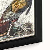 Detailed Wild Turkey Realism Art Print - Classical Realism Canvas Decor