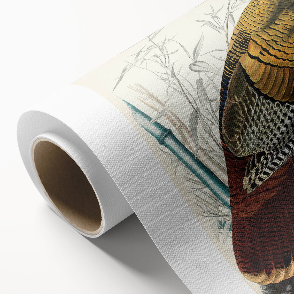 Detailed Wild Turkey Realism Art Print - Classical Realism Canvas Decor