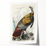 Detailed Wild Turkey Realism Art Print - Classical Realism Canvas Decor