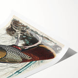 Detailed Wild Turkey Realism Art Print - Classical Realism Canvas Decor