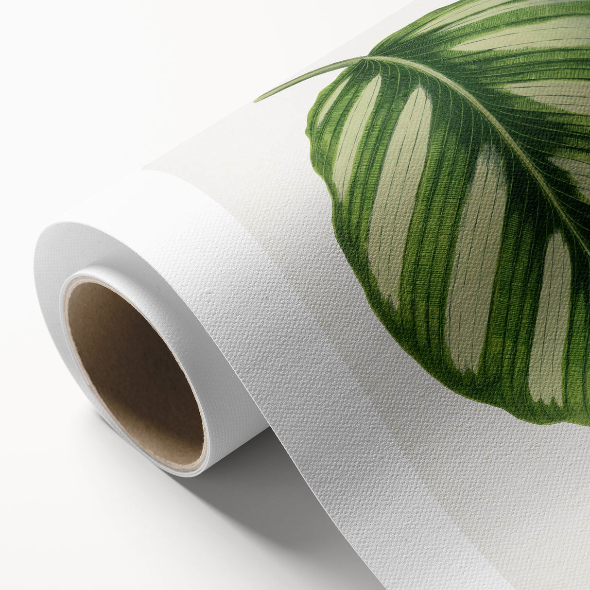 Romanticism Art - Green Maranta Fasciata Leaf Illustration