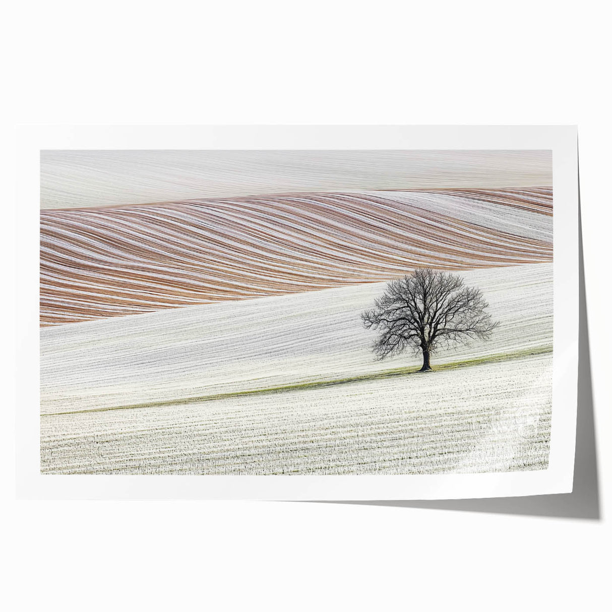 Abstract landscape rolled print showcasing vibrant colors of blue, green, and gold, featuring dynamic shapes and textures, packaged securely in a durable cardboard tube for safe shipping. Ideal for modern home decor or art enthusiasts.