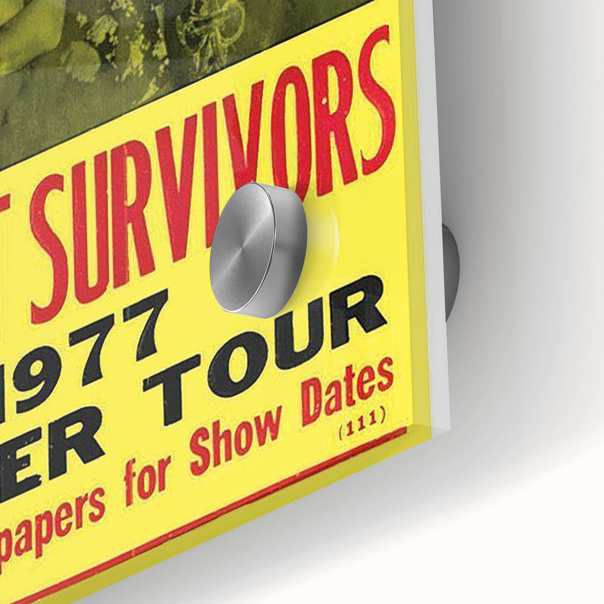 Lynyrd Skynyrd Street Survivors Poster - Vintage Rock Wall Art