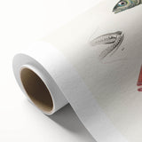 Romanticism Art - Illustrated Fishes by Charles Dessalines d'Orbigny