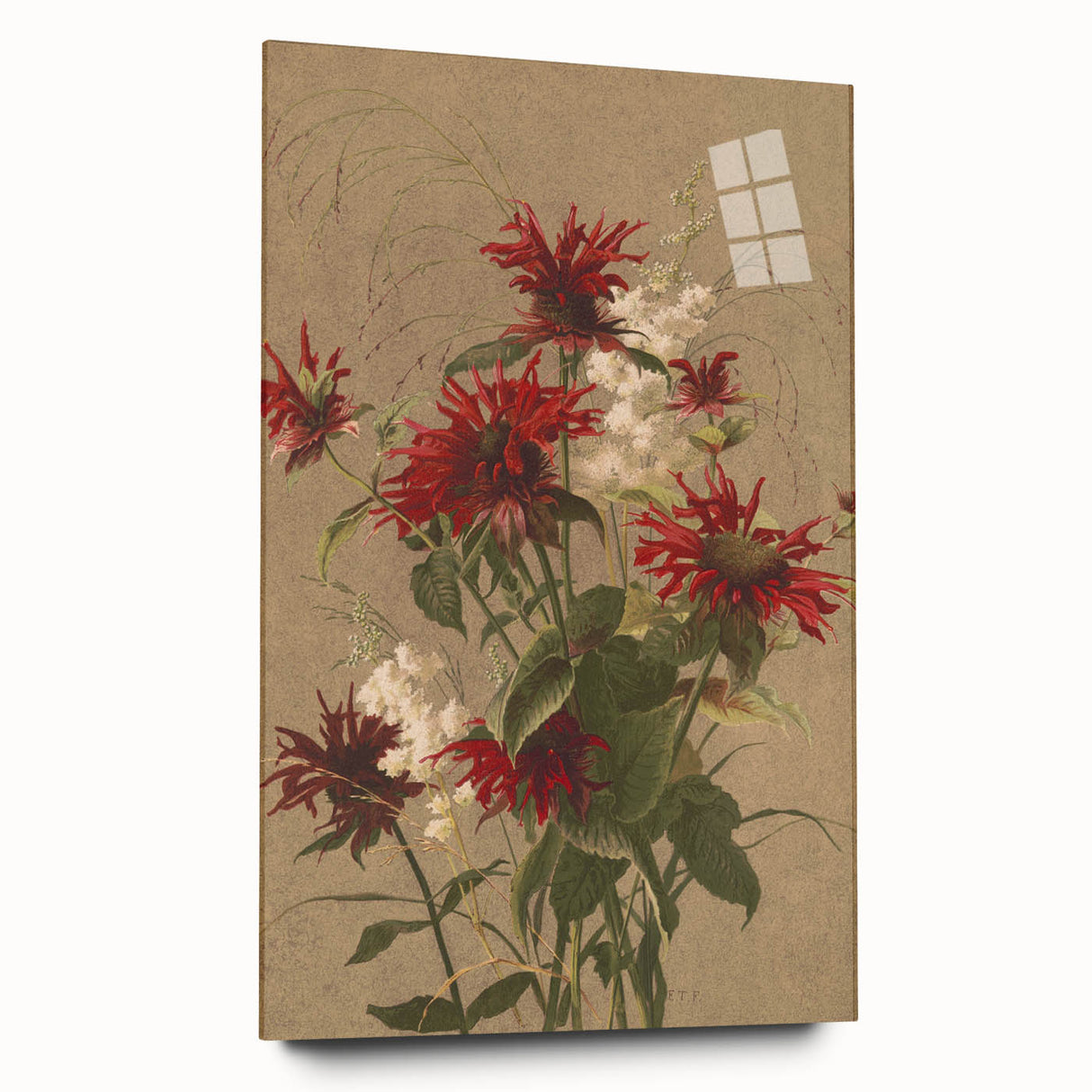 Balm and Spiraea Realism Art Print - Detailed Floral Canvas Decor
