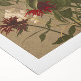 Balm and Spiraea Realism Art Print - Detailed Floral Canvas Decor