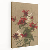 Balm and Spiraea Realism Art Print - Detailed Floral Canvas Decor