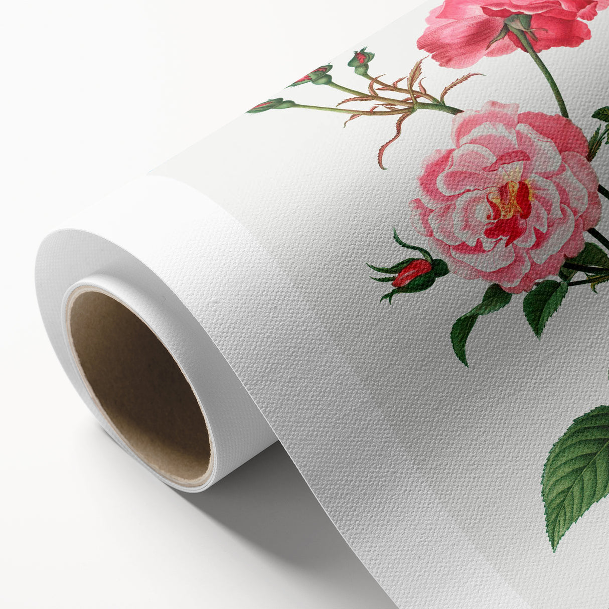 Neoclassical Art Print: Ever-blowing Rose by Redouté - Classic Floral Art