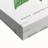 Neoclassical Art Print: Ever-blowing Rose by Redouté - Classic Floral Art