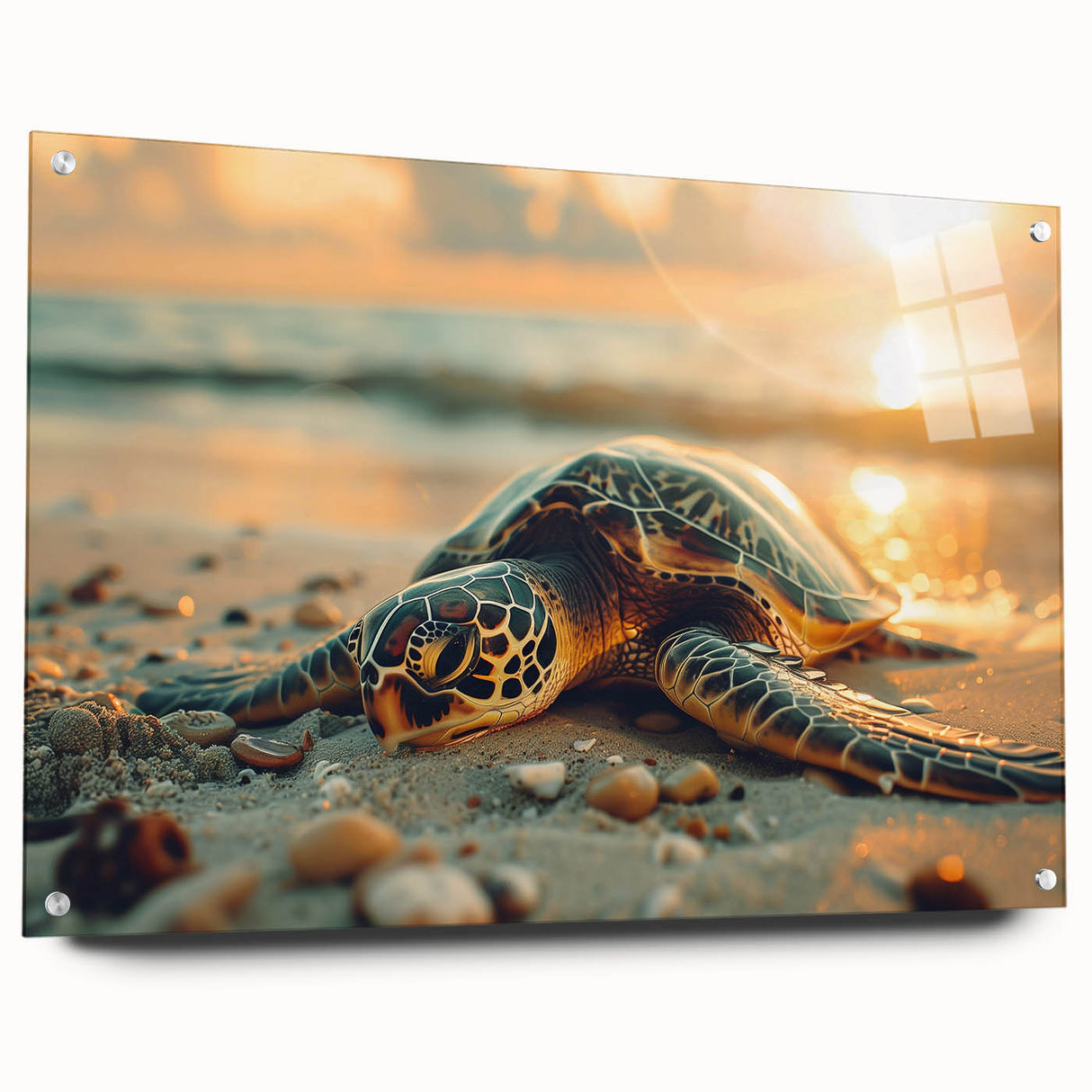 Large abstract wall art of a Caribbean scenery in vibrant blue and green tones on acrylic glass.