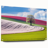 Acrylic print featuring a panoramic view of a European cityscape in muted colors, ideal for dining room decor.