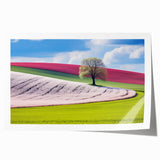 Rolled print of a Czech Republic landscape with vibrant green and blue tones, ideal for art wall dining room.