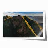 Rolled canvas print of a Brazilian landscape with lush greenery and vibrant floral elements, ideal for dining room wall art.