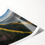 Extra large wall art featuring line art flowers in muted earth tones on rolled canvas, ideal for large living room decor.