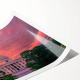 Extra large wall art featuring line art flowers in neutral tones on a rolled print, ideal for large living room decor.