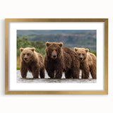 Extra large abstract art print of Alaska scenery in gold frame, featuring textured brush strokes in cool blue and gray tones.