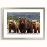 Abstract textured art print depicting an Alaskan landscape in muted earth tones on a framed silver mat.