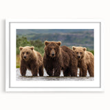 Abstract art print of an Alaskan landscape in muted blue and gray tones, framed in white.