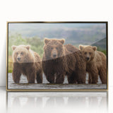 Large acrylic print of a serene Alaskan landscape in muted earth tones, framed in gold, ideal for modern art wall decor.