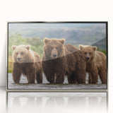 Mid-century modernist art depicting Alaska scenery in muted earth tones on a framed acrylic print.