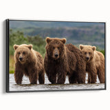 Black and white framed canvas of an Alaskan landscape, ideal for bedroom wall art.