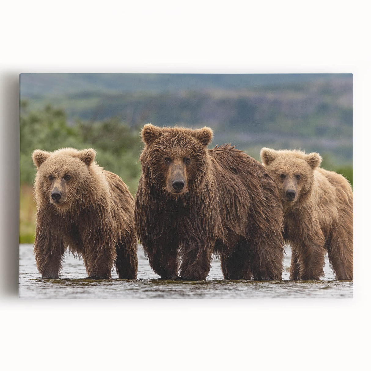 Black and white photo of Alaskan landscape on large stretched canvas, suitable for kitchen wall art.