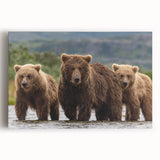 Black and white photo of Alaskan landscape on large stretched canvas, suitable for kitchen wall art.