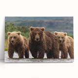 Black and white photograph of Alaska scenery on large stretched canvas, ideal for kitchen wall art or bedroom ambiance.