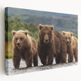 Scenic Alaskan landscape on stretched canvas, featuring cool blue and white tones, ideal for kitchen wall art.