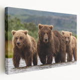 Scenic Alaskan landscape on stretched canvas, featuring cool blue and white tones, ideal for kitchen wall art.