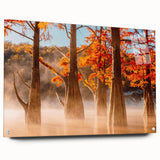 Acrylic print of a Louisiana landscape in muted earth tones, ideal for dining room decor.