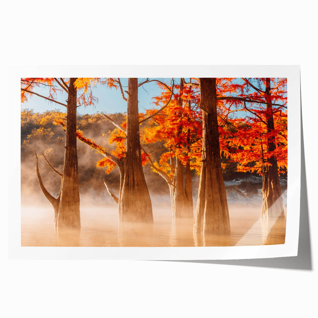 Extra large rolled print of a Louisiana landscape with vibrant floral elements, ideal for dining room wall art.