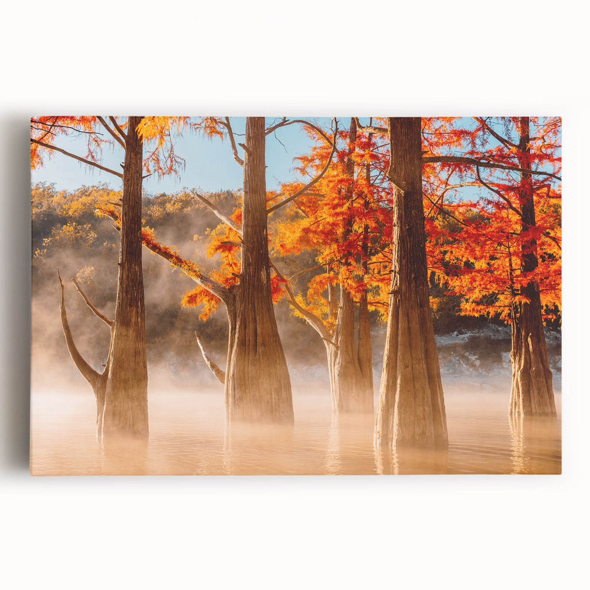 Black and white stretched canvas featuring a detailed Louisiana marsh landscape, ideal for kitchen wall art.