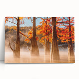 Black and white large art print of a Louisiana landscape on stretched canvas, ideal for kitchen wall art or bedroom ambiance.