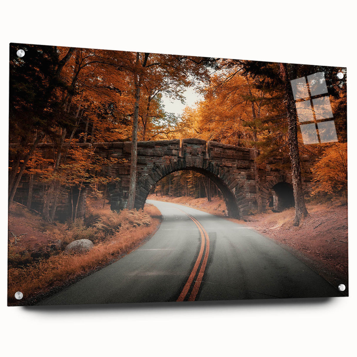 Acrylic print of Acadia National Park in Maine, featuring lush greenery and vibrant blue skies.
