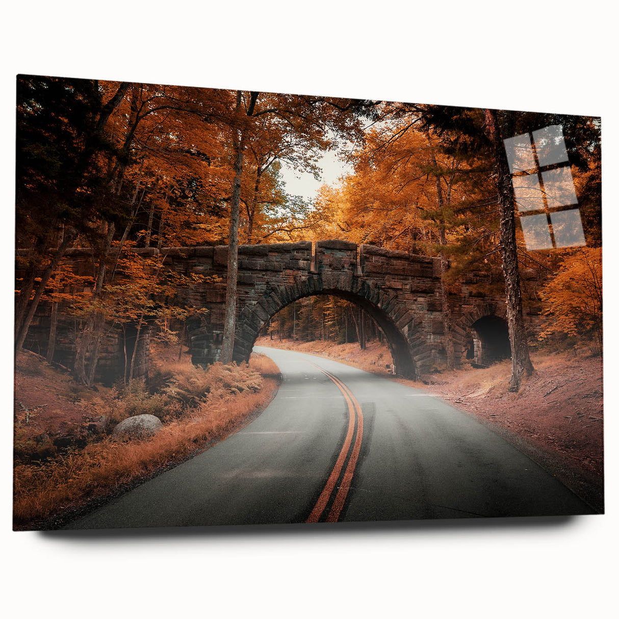 Acrylic print of Acadia National Park in muted earth tones, ideal for bedroom or dining room art.