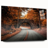 Acrylic print of Acadia National Park in muted earth tones, ideal for bedroom or dining room art.