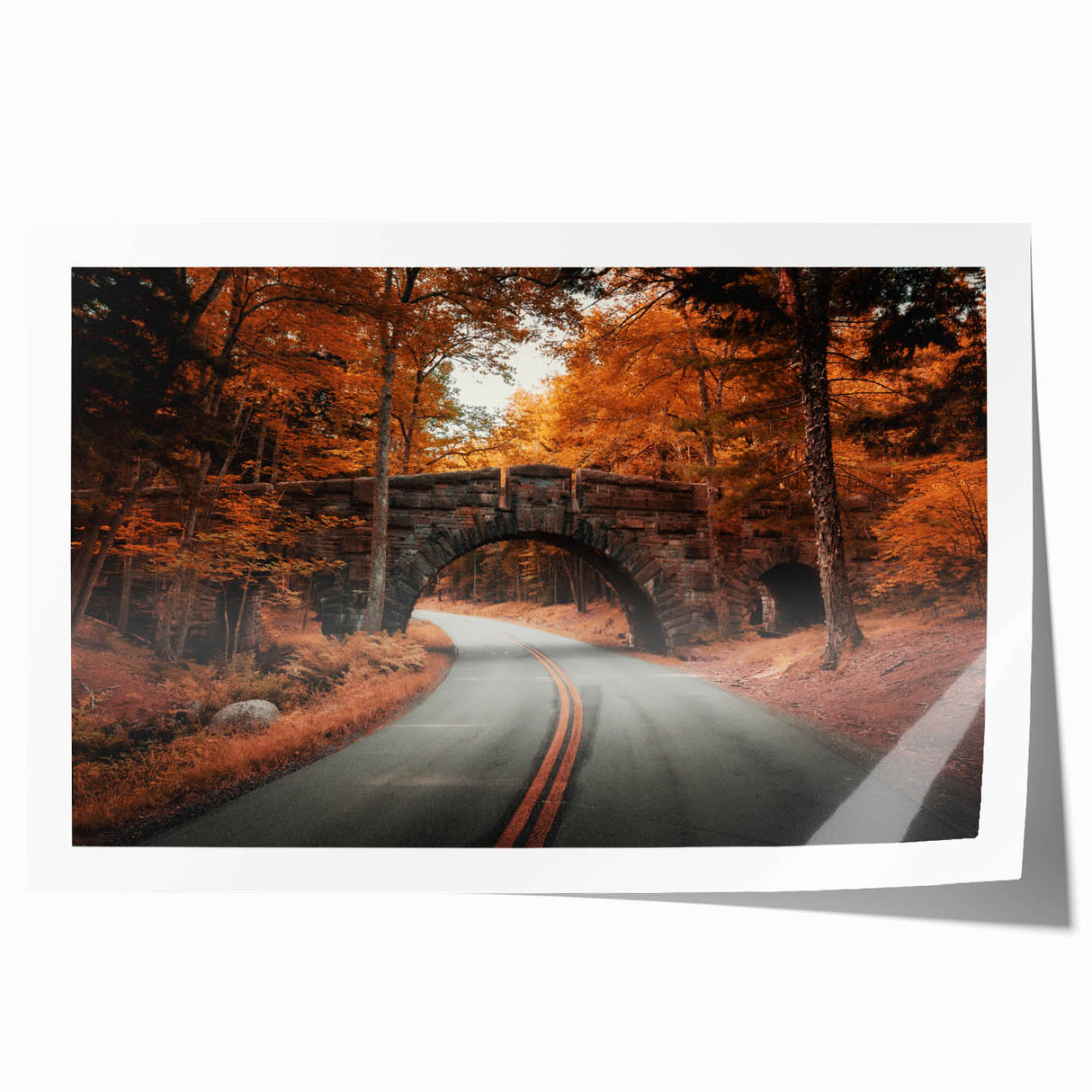 Acadia National Park landscape on rolled canvas, featuring muted earth tones, ideal for art wall dining room.