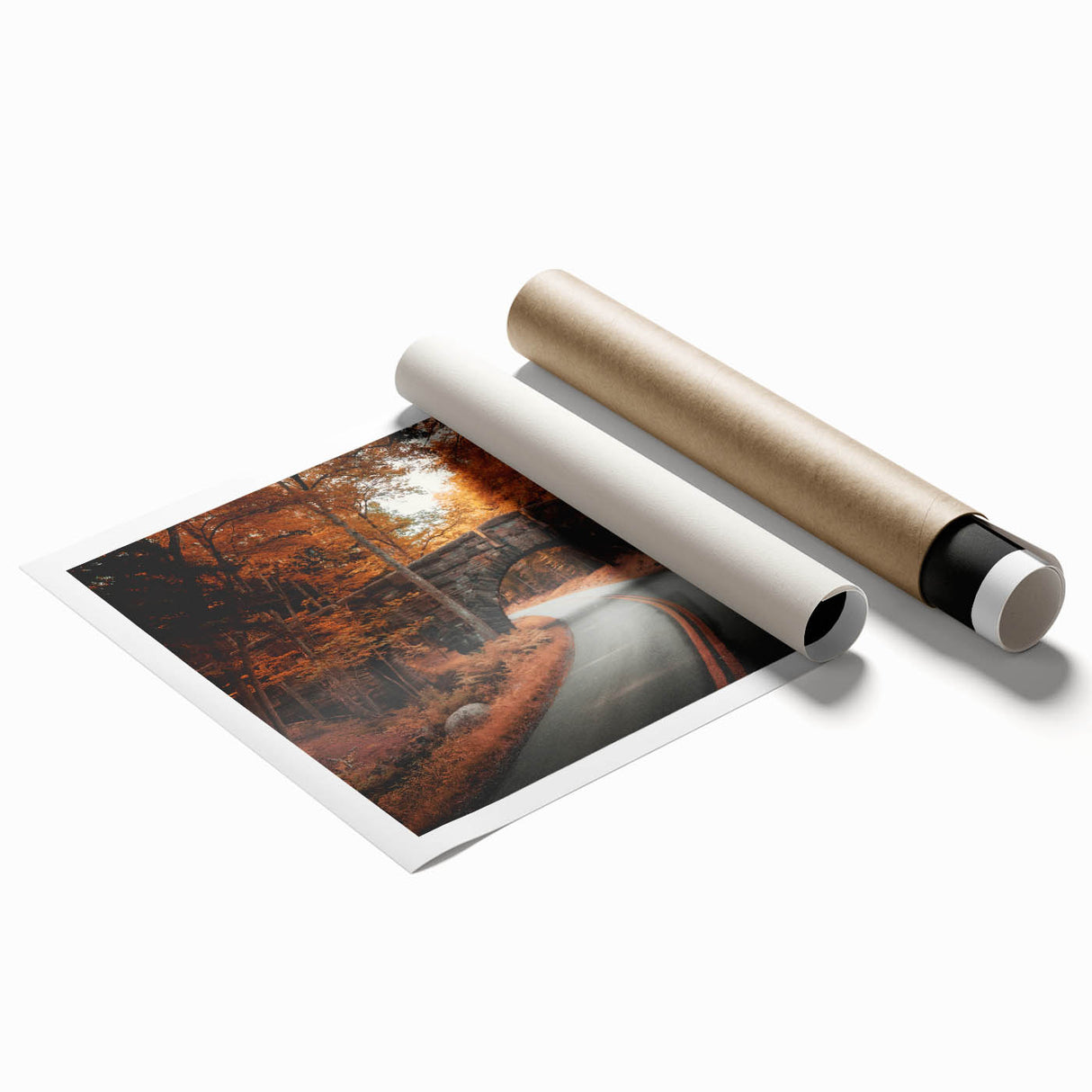 Acadia National Park scenery on a rolled canvas print featuring muted greens and blues, ideal for classy bathroom wall art.