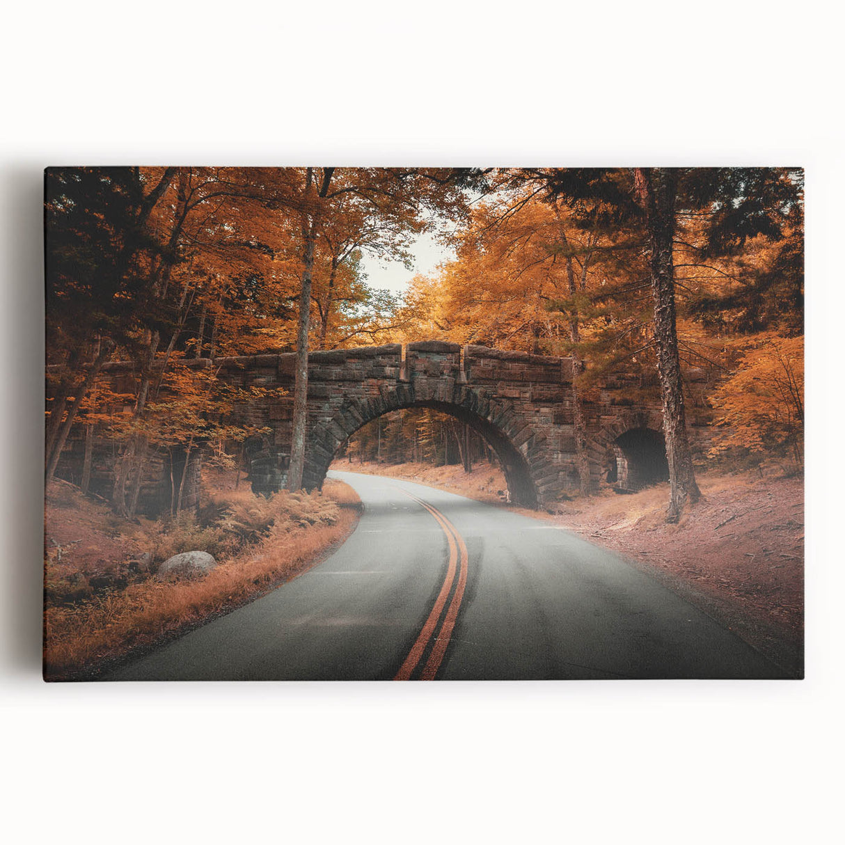 Black and white photo of Acadia National Park on large stretched canvas, ideal for kitchen wall art.