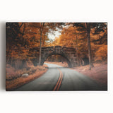 Black and white photo of Acadia National Park on large stretched canvas, ideal for kitchen wall art.