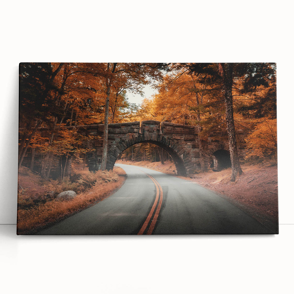 Black and white photograph of Acadia National Park on stretched canvas, ideal for kitchen wall art or bedroom decor.