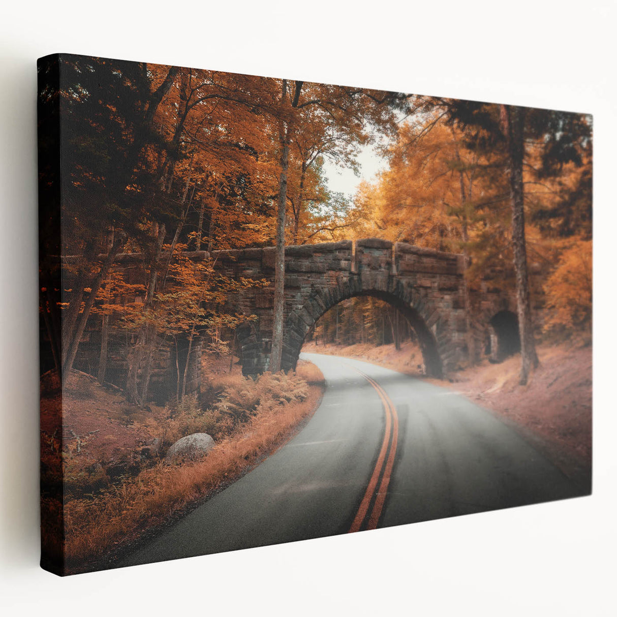 Acadia National Park scenery on large stretched canvas, featuring muted earth tones, ideal for kitchen wall art.