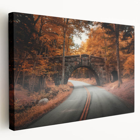 Acadia National Park scenery on large stretched canvas, featuring muted earth tones, ideal for kitchen wall art.