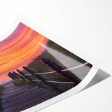 Extra large wall art featuring line art flowers in a minimalist style on rolled print.