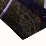 Black and white landscape art painting of Maine scenery on large stretched canvas, suitable for bedroom wall decor.