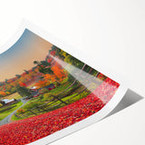 Extra large rolled print featuring line art flowers in soft pastel shades, ideal for large living room wall art.