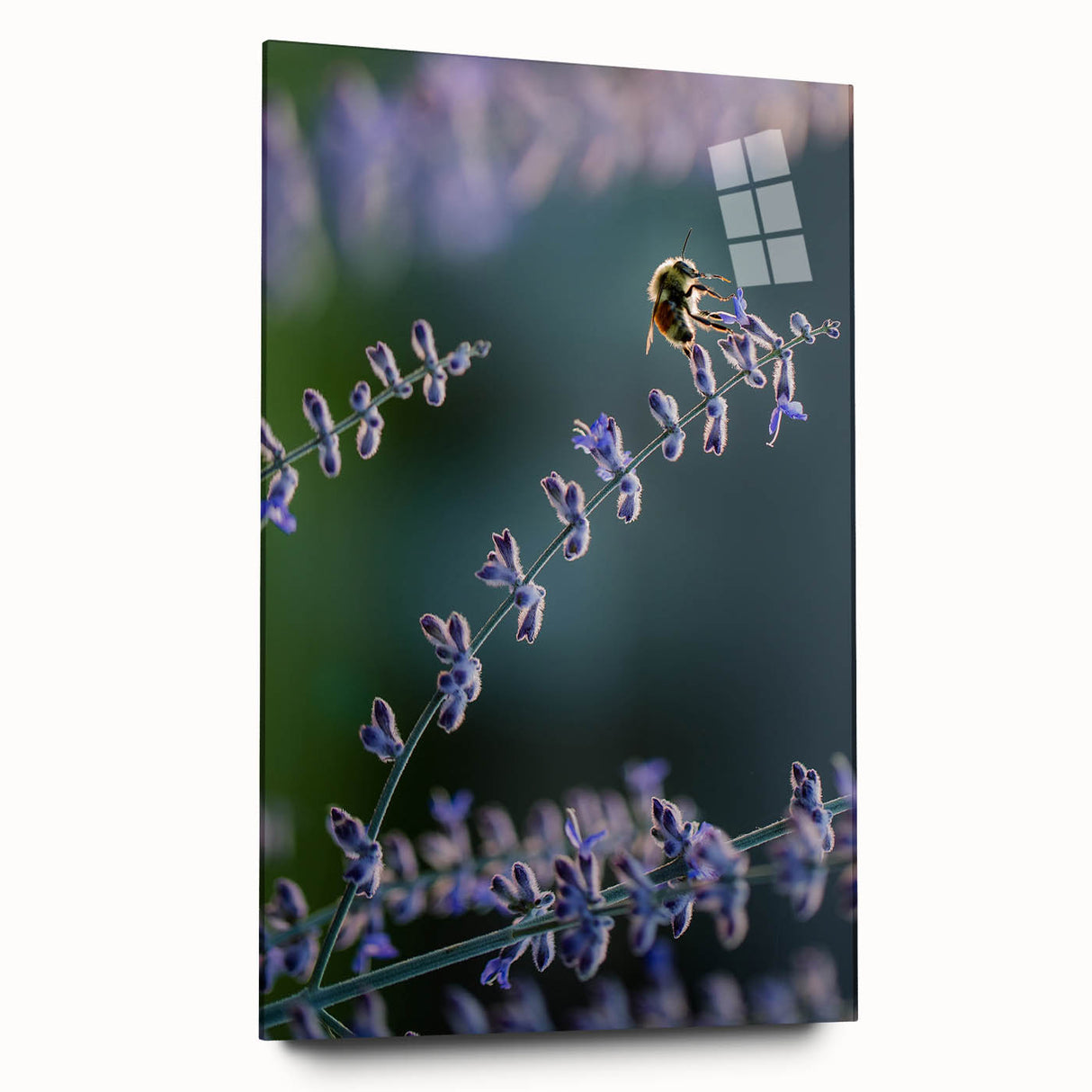 Large abstract wall art on acrylic glass depicting vibrant spring colors, ideal for bedroom or dining room decor.