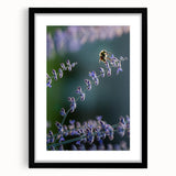 Extra large abstract art print featuring vibrant spring colors on a textured canvas, framed in black.